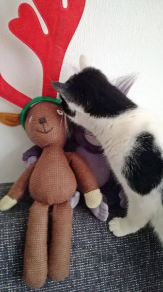 KeeK op de WeeK 50- Kleine KeeK op het Jaar 14 Marie