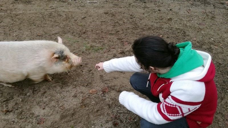 KeeK op de WeeK 2- Marie, Murdoch, Dierenarts en Pannenkoeken eten met de Jarige... 4 tom en varken