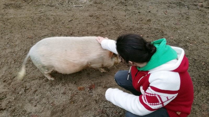 KeeK op de WeeK 2- Marie, Murdoch, Dierenarts en Pannenkoeken eten met de Jarige... 5 tom en varken