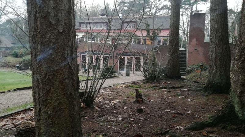 KeeK op de WeeK 2- Marie, Murdoch, Dierenarts en Pannenkoeken eten met de Jarige... 3 panoramahoeve