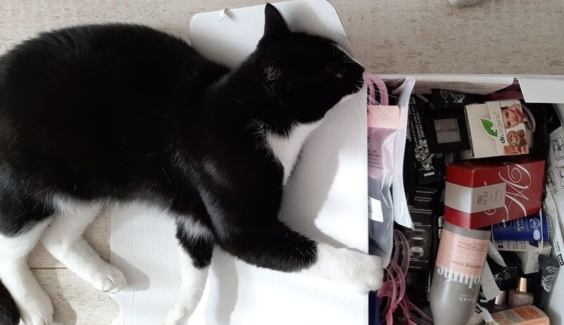 KeeK op de WeeK 34- Maak jouw eigen Southpark poppetje & 2 super series op Netflix 14 KeeK op de WeeK 34- Maak jouw eigen Southpark poppetje & 2 super series op Netflix 13 southpark KeeK op de WeeK 34- Maak jouw eigen Southpark poppetje & 2 super series op Netflix