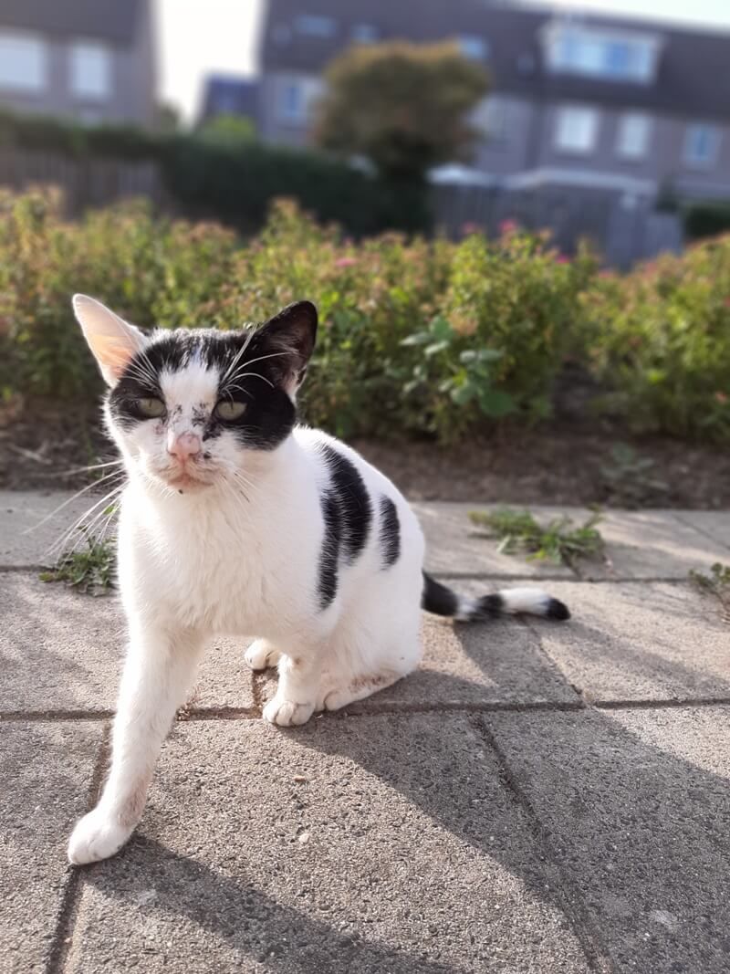 Hoe gaat het nu met Marie? (KeeK op de WeeK 38) 6 Hoe gaat het nu met Marie? (KeeK op de WeeK 38) 5 marie Hoe gaat het nu met Marie? (KeeK op de WeeK 38)