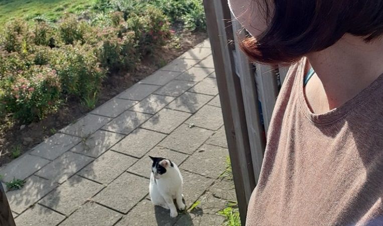 Hoe gaat het nu met Marie? (KeeK op de WeeK 38) 8 Hoe gaat het nu met Marie? (KeeK op de WeeK 38) 7 marie Hoe gaat het nu met Marie? (KeeK op de WeeK 38)