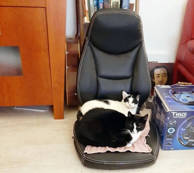 KeeK op de WeeK 7- Verjaardag, Cadeautjes, 3 Handen & Pizza! 20 KeeK op de WeeK 7- Verjaardag, Cadeautjes, 3 Handen & Pizza! 19 la porta KeeK op de WeeK 7- Verjaardag, Cadeautjes, 3 Handen & Pizza!