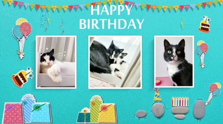 Er zijn er Twee Jarig Hoera, Hoera! 4 Er zijn er Twee Jarig Hoera, Hoera! 3 jarig Er zijn er Twee Jarig Hoera, Hoera!