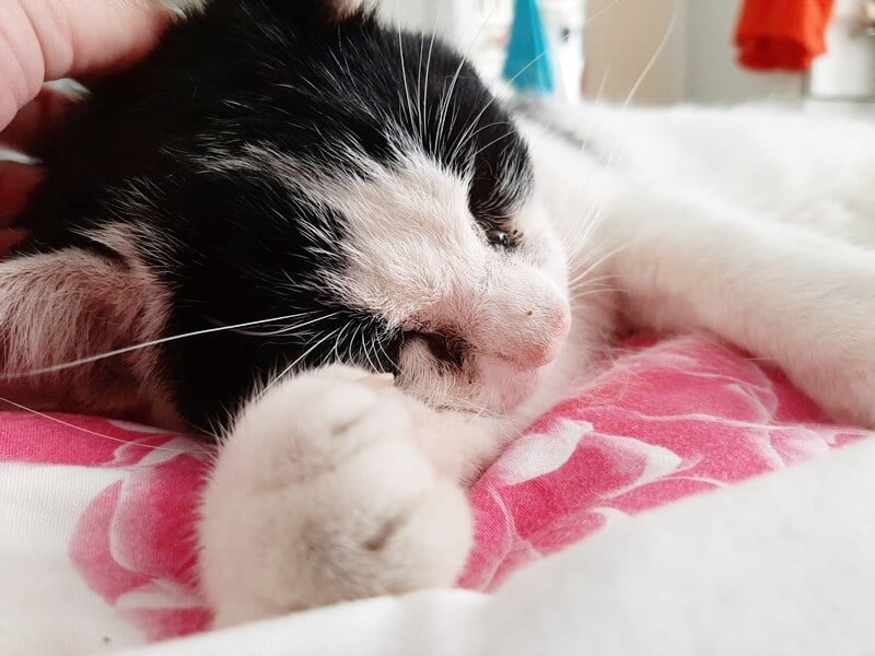 KeeK op de WeeK 35- Wat heb ik in mijn vakantie allemaal gedaan? 42 KeeK op de WeeK 35- Wat heb ik in mijn vakantie allemaal gedaan? 41 keek op de week KeeK op de WeeK 35- Wat heb ik in mijn vakantie allemaal gedaan?