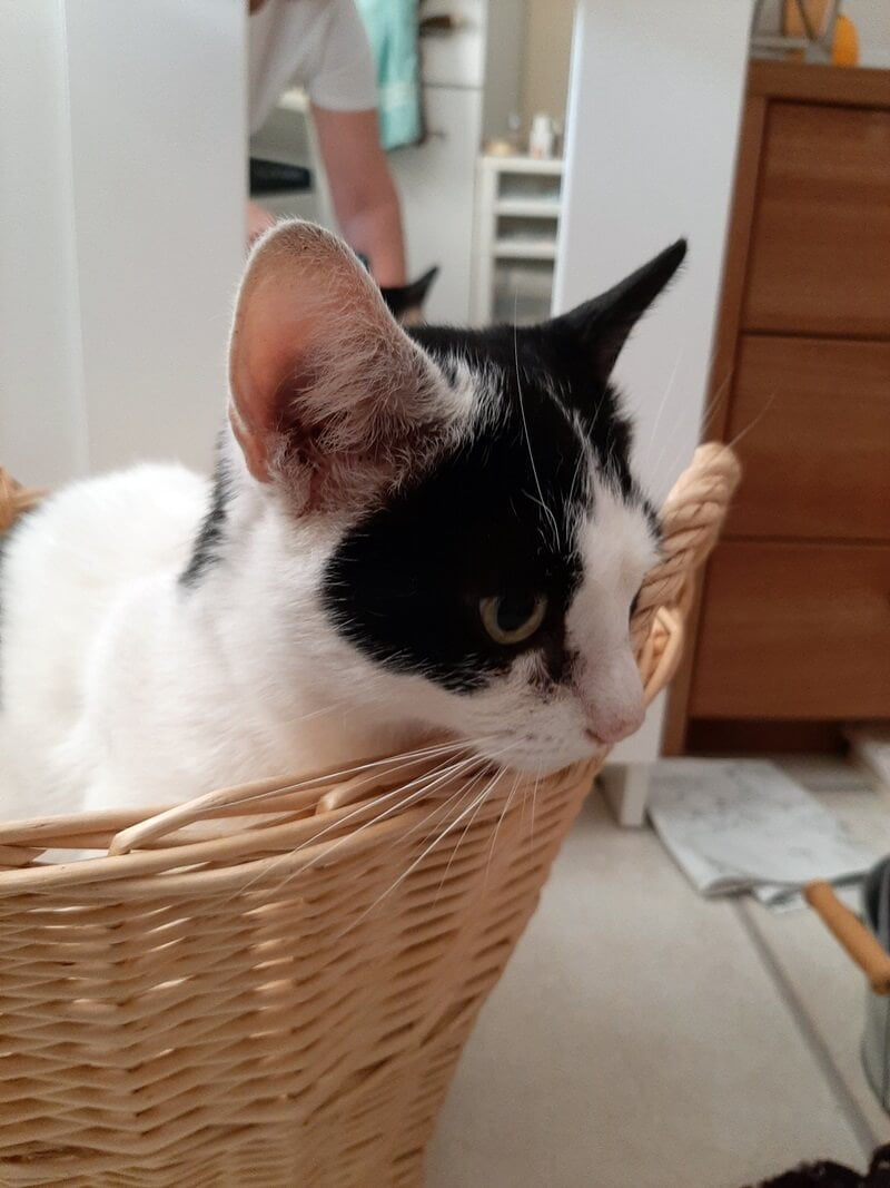 KeeK op de WeeK 35- Wat heb ik in mijn vakantie allemaal gedaan? 44 KeeK op de WeeK 35- Wat heb ik in mijn vakantie allemaal gedaan? 43 keek op de week KeeK op de WeeK 35- Wat heb ik in mijn vakantie allemaal gedaan?