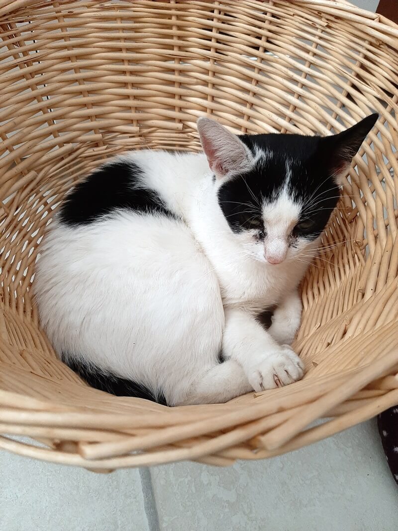 KeeK op de WeeK 35- Wat heb ik in mijn vakantie allemaal gedaan? 40 KeeK op de WeeK 35- Wat heb ik in mijn vakantie allemaal gedaan? 39 keek op de week KeeK op de WeeK 35- Wat heb ik in mijn vakantie allemaal gedaan?