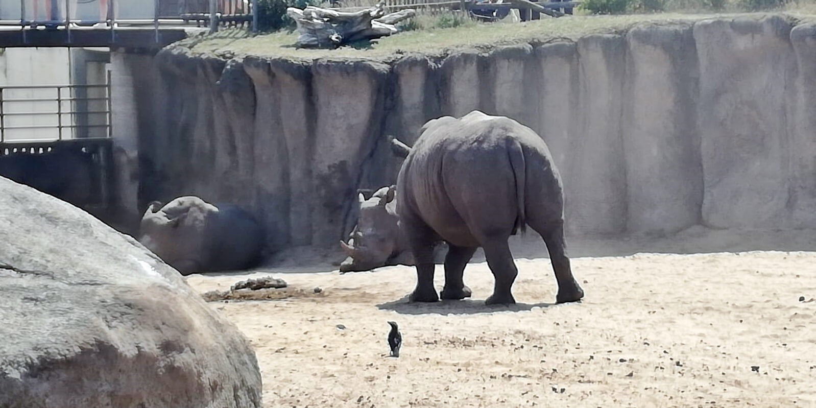 KeeK op de WeeK 36 -Wildlands Emmen 16 KeeK op de WeeK 36 -Wildlands Emmen 15 wildlands KeeK op de WeeK 36 -Wildlands Emmen