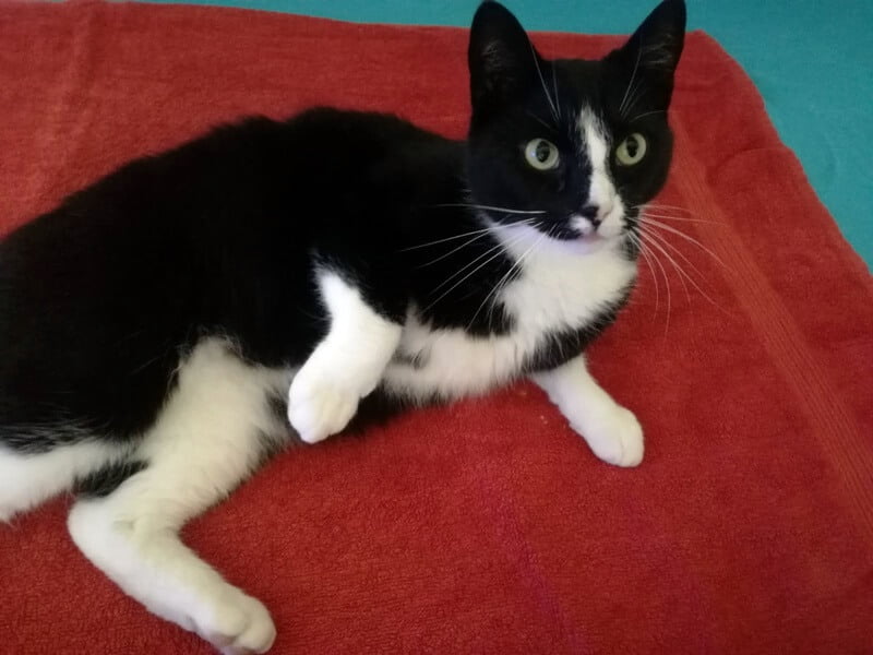 KeeK op de WeeK 36 -Wildlands Emmen 60 KeeK op de WeeK 36 -Wildlands Emmen 59 wildlands KeeK op de WeeK 36 -Wildlands Emmen