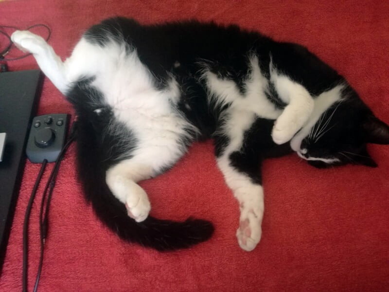 KeeK op de WeeK 36 -Wildlands Emmen 58 KeeK op de WeeK 36 -Wildlands Emmen 57 wildlands KeeK op de WeeK 36 -Wildlands Emmen