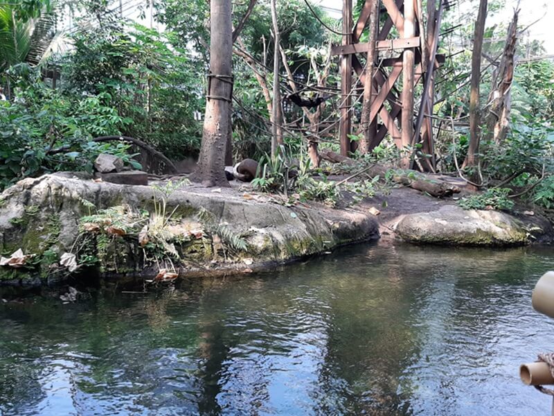 KeeK op de WeeK 36 -Wildlands Emmen 44 KeeK op de WeeK 36 -Wildlands Emmen 43 wildlands KeeK op de WeeK 36 -Wildlands Emmen