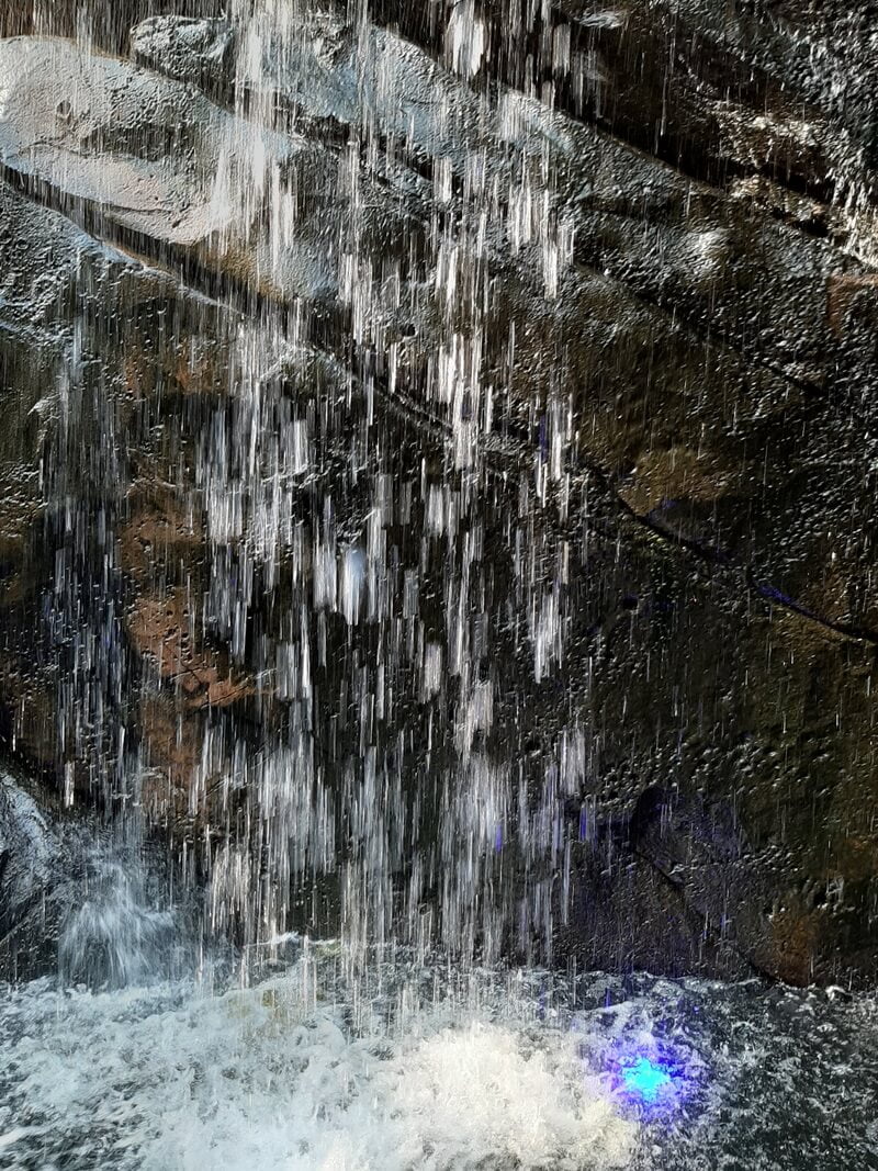 KeeK op de WeeK 36 -Wildlands Emmen 42 KeeK op de WeeK 36 -Wildlands Emmen 41 wildlands KeeK op de WeeK 36 -Wildlands Emmen