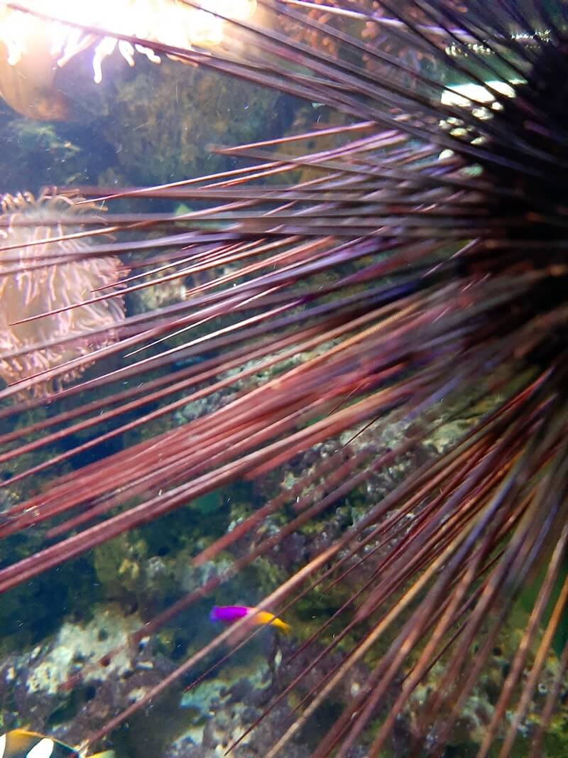 KeeK op de WeeK 36 -Wildlands Emmen 28 KeeK op de WeeK 36 -Wildlands Emmen 27 wildlands KeeK op de WeeK 36 -Wildlands Emmen