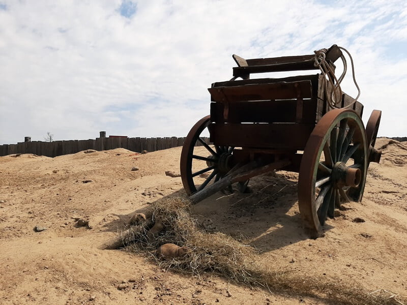 KeeK op de WeeK 36 -Wildlands Emmen 8 KeeK op de WeeK 36 -Wildlands Emmen 7 wildlands KeeK op de WeeK 36 -Wildlands Emmen