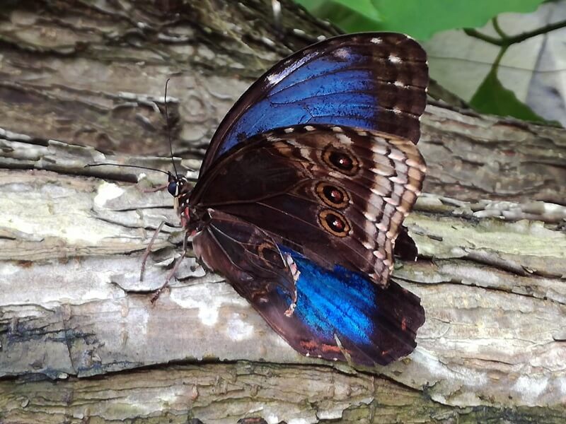 KeeK op de WeeK 36 -Wildlands Emmen 32 KeeK op de WeeK 36 -Wildlands Emmen 31 wildlands KeeK op de WeeK 36 -Wildlands Emmen