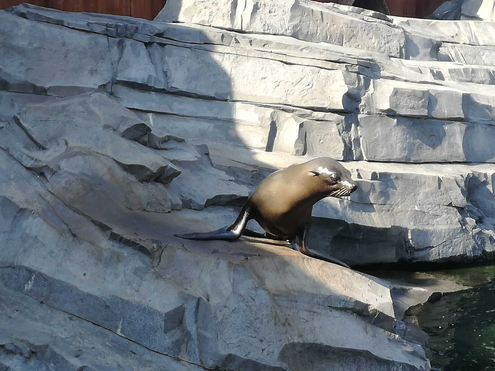 KeeK op de WeeK 36 -Wildlands Emmen 20 KeeK op de WeeK 36 -Wildlands Emmen 19 wildlands KeeK op de WeeK 36 -Wildlands Emmen