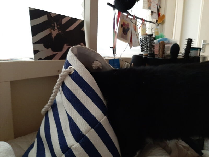 KeeK op de WeeK 44- Retro Overgooier, Schaken en Schilderijen aan Gordijnrails... 26 KeeK op de WeeK 44- Retro Overgooier, Schaken en Schilderijen aan Gordijnrails... 25 overgooier KeeK op de WeeK 44- Retro Overgooier, Schaken en Schilderijen aan Gordijnrails...