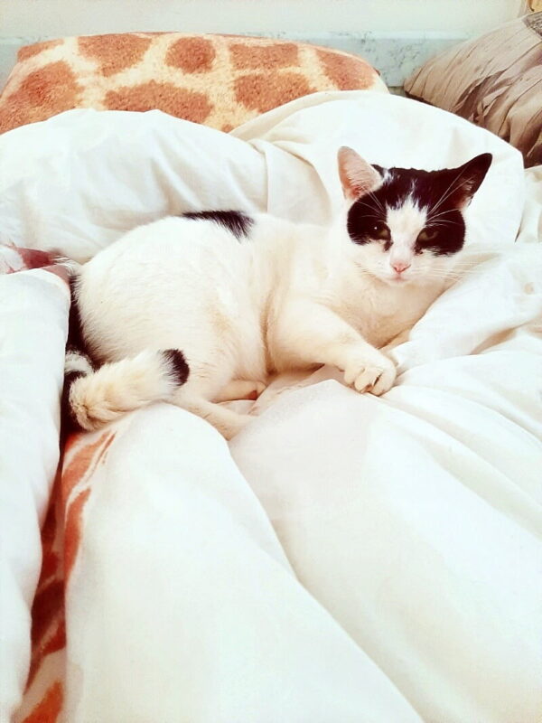 KeeK op de WeeK 45- Cerave, Marie als "Lubach" en een Care Pakketje... 26 KeeK op de WeeK 45- Cerave, Marie als "Lubach" en een Care Pakketje... 25 cerave KeeK op de WeeK 45- Cerave, Marie als "Lubach" en een Care Pakketje...