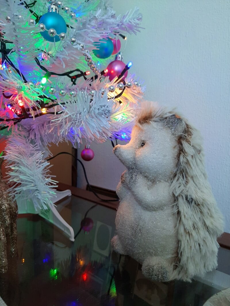 KeeK op de WeeK 51- Witte Kerst, Kerstpakket, Miskoop & een Koopje... 16 KeeK op de WeeK 51- Witte Kerst, Kerstpakket, Miskoop & een Koopje... 15 keek op de week KeeK op de WeeK 51- Witte Kerst, Kerstpakket, Miskoop & een Koopje...