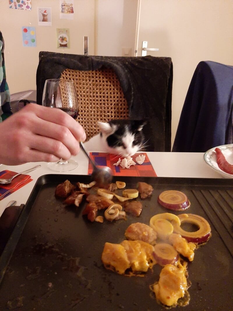 KeeK op de WeeK 52- Marie aan de Kerstdis, een Vochtig Konijntje, Boomstronk Taart en goede Voornemens... 19 kerstdis KeeK op de WeeK 52- Marie aan de Kerstdis, een Vochtig Konijntje, Boomstronk Taart en goede Voornemens...