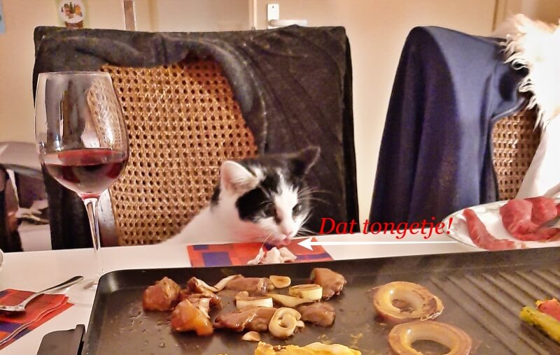 KeeK op de WeeK 52- Marie aan de Kerstdis, een Vochtig Konijntje, Boomstronk Taart en goede Voornemens... 17 kerstdis KeeK op de WeeK 52- Marie aan de Kerstdis, een Vochtig Konijntje, Boomstronk Taart en goede Voornemens...