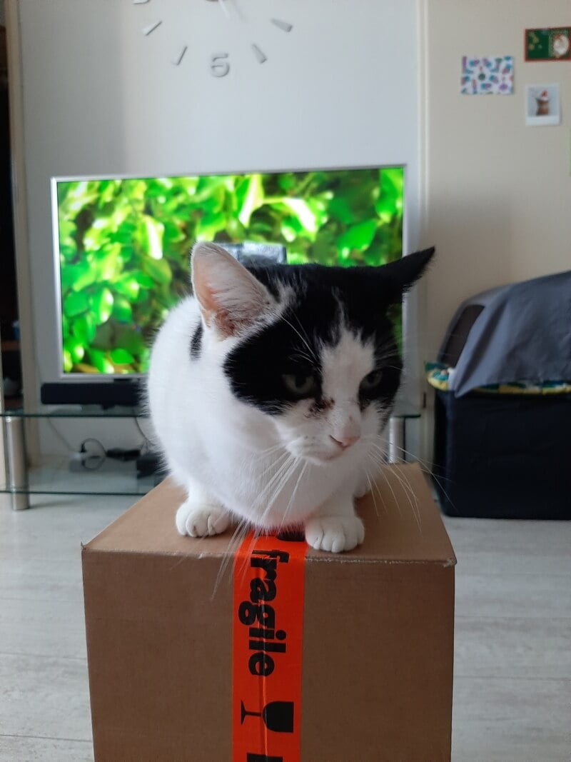 KeeK op de WeeK 51- Witte Kerst, Kerstpakket, Miskoop & een Koopje... 18 KeeK op de WeeK 51- Witte Kerst, Kerstpakket, Miskoop & een Koopje... 17 keek op de week KeeK op de WeeK 51- Witte Kerst, Kerstpakket, Miskoop & een Koopje...