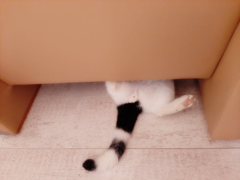 KeeK op de WeeK 3- Wasparfum, Tom "op Rembrandt", een paar Pondjes erbij & Aquarellen? 26 KeeK op de WeeK 3- Wasparfum, Tom "op Rembrandt", een paar Pondjes erbij & Aquarellen? 25 wasparfum KeeK op de WeeK 3- Wasparfum, Tom "op Rembrandt", een paar Pondjes erbij & Aquarellen?