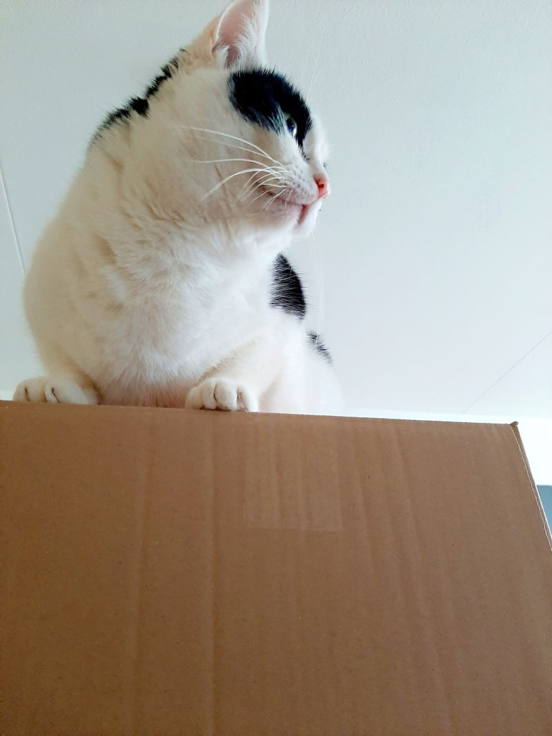 KeeK op de WeeK 3- Wasparfum, Tom "op Rembrandt", een paar Pondjes erbij & Aquarellen? 28 KeeK op de WeeK 3- Wasparfum, Tom "op Rembrandt", een paar Pondjes erbij & Aquarellen? 27 wasparfum KeeK op de WeeK 3- Wasparfum, Tom "op Rembrandt", een paar Pondjes erbij & Aquarellen?