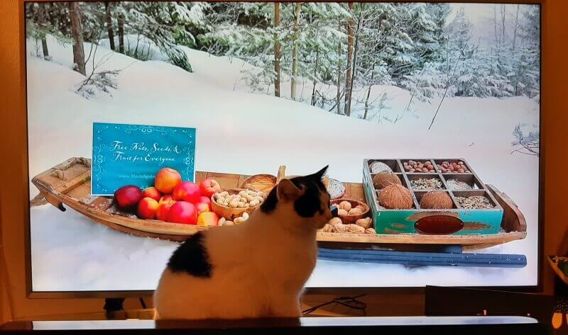 KeeK op de WeeK 1- Gelukkig Nieuwjaar (met een traan), de Basajaun en Tijd voor Taart... 21 nieuwjaar KeeK op de WeeK 1- Gelukkig Nieuwjaar (met een traan), de Basajaun en Tijd voor Taart...