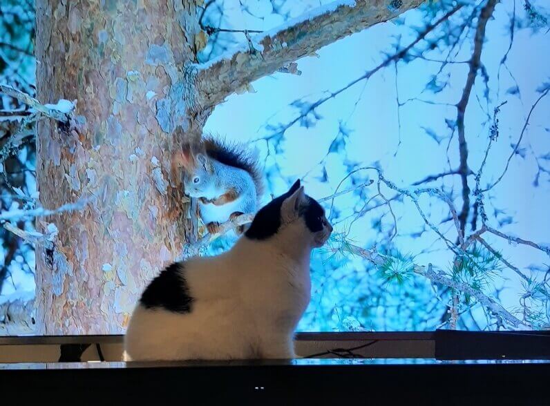 KeeK op de WeeK 1- Gelukkig Nieuwjaar (met een traan), de Basajaun en Tijd voor Taart... 17 nieuwjaar KeeK op de WeeK 1- Gelukkig Nieuwjaar (met een traan), de Basajaun en Tijd voor Taart...