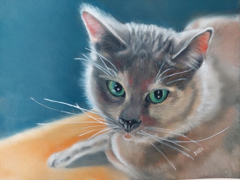Het Schilderij voor de Winnaar! En een Nieuwe Winactie! 11 winnaar Het Schilderij voor de Winnaar! En een Nieuwe Winactie!