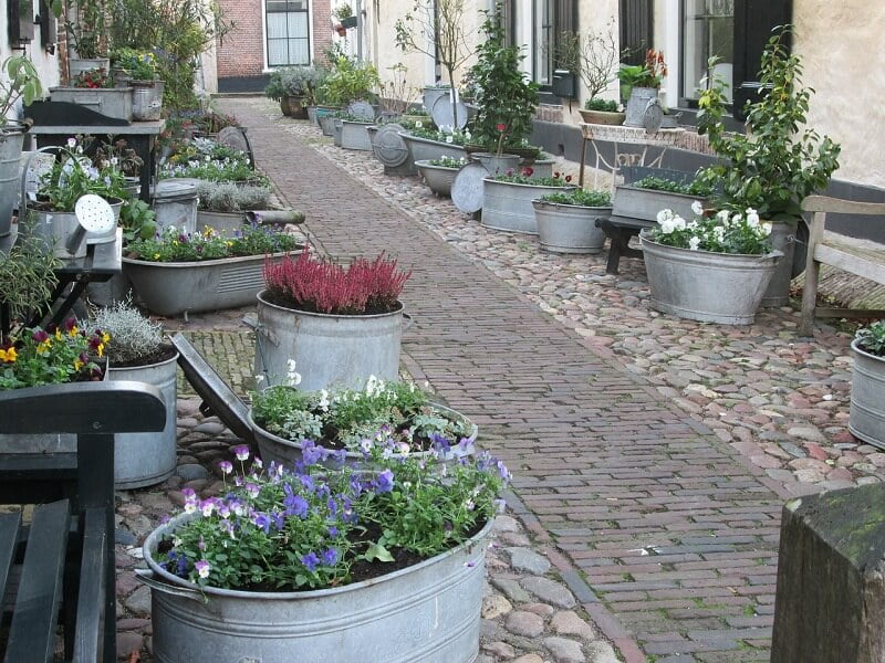 Is het wel verstandig om iedere dag te douchen in verband met ons afweersysteem? 5 douchen Is het wel verstandig om iedere dag te douchen in verband met ons afweersysteem?