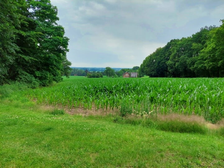 KeeK op de WeeK 28- Kat in de La, een Schelpenvaas en veel Balea... 23 schelpenvaas KeeK op de WeeK 28- Kat in de La, een Schelpenvaas en veel Balea...